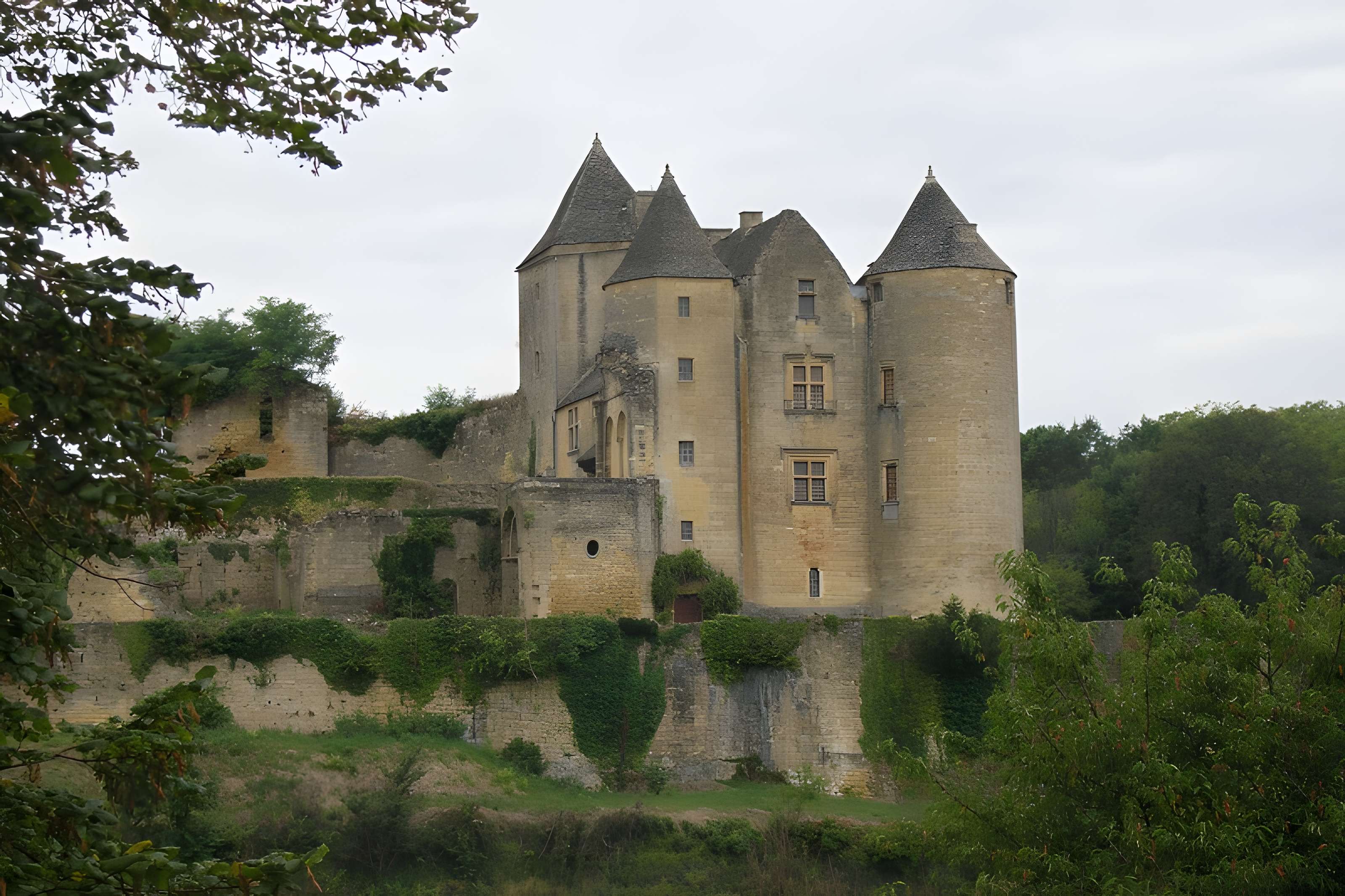 Château de Salignac