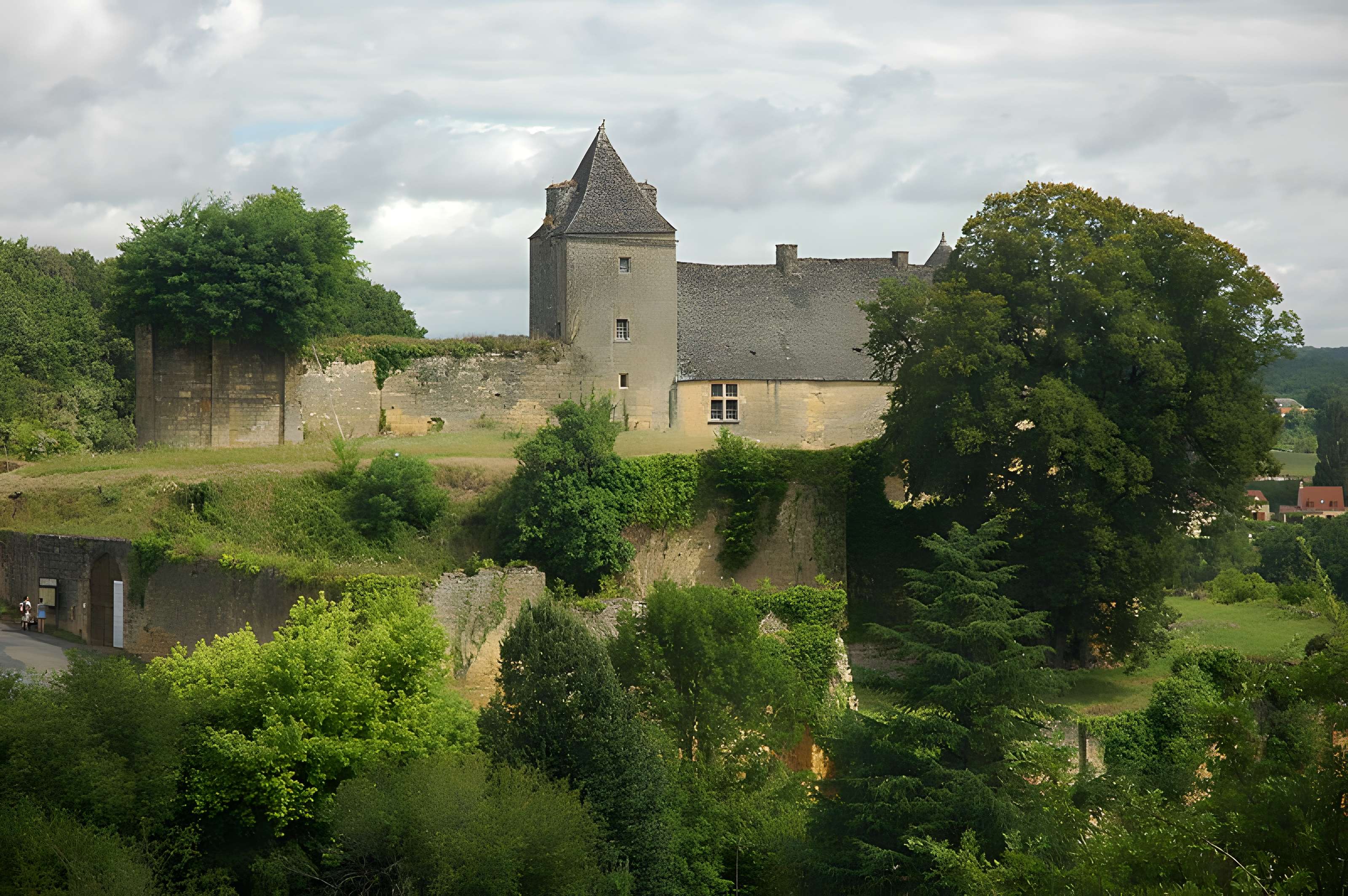 Château de Salignac