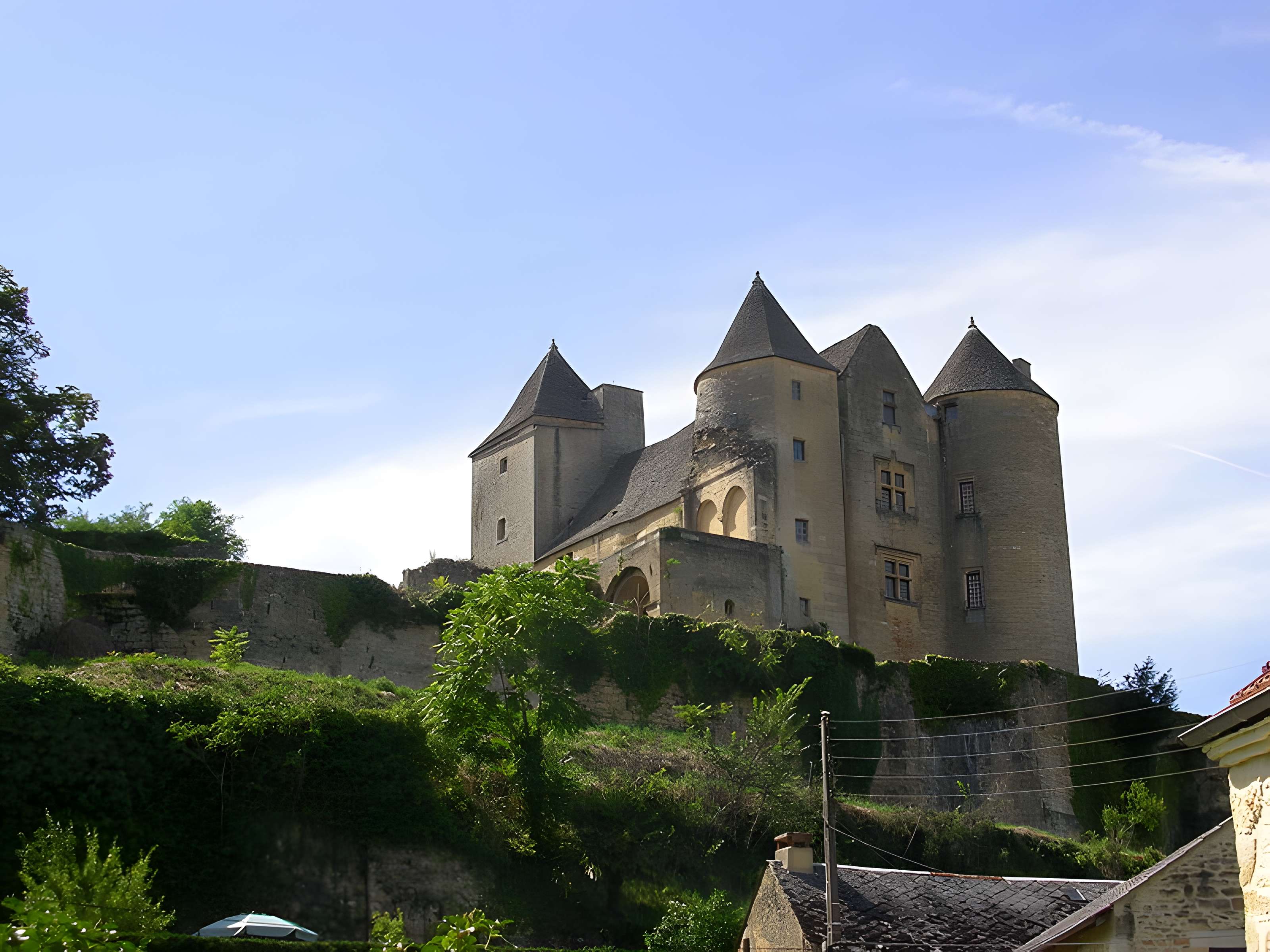 Château de Salignac