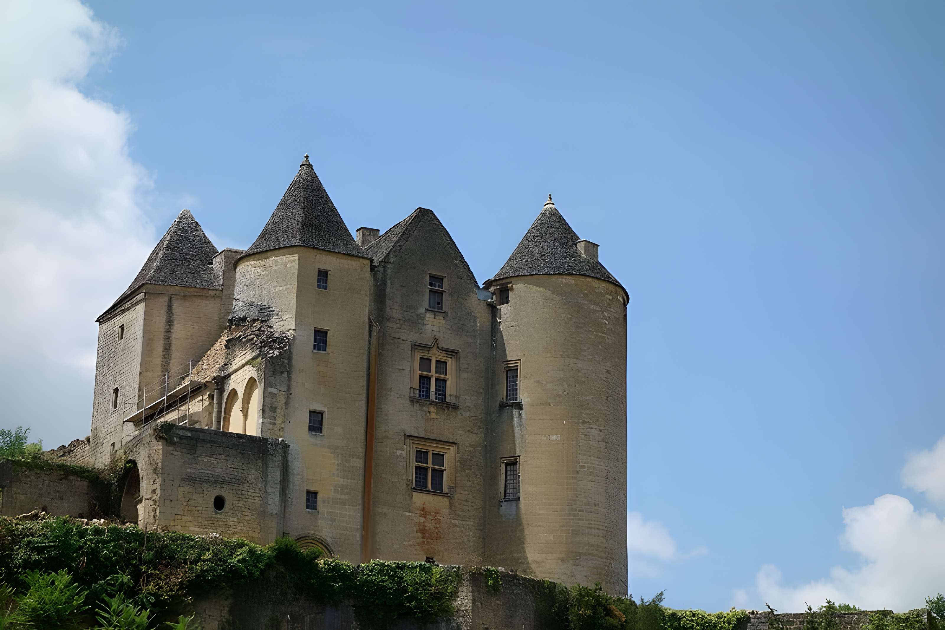 Château de Salignac