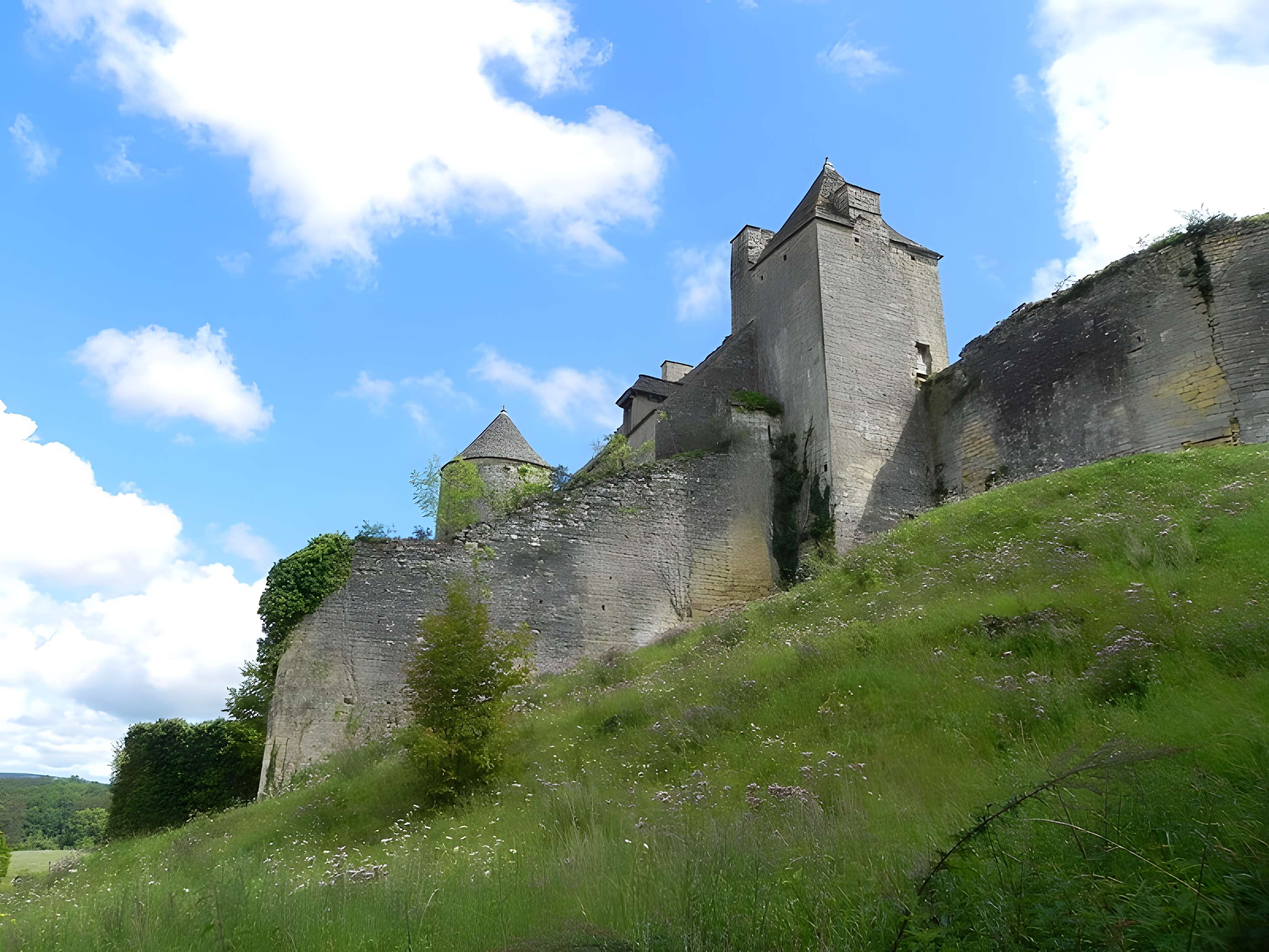 Château de Salignac