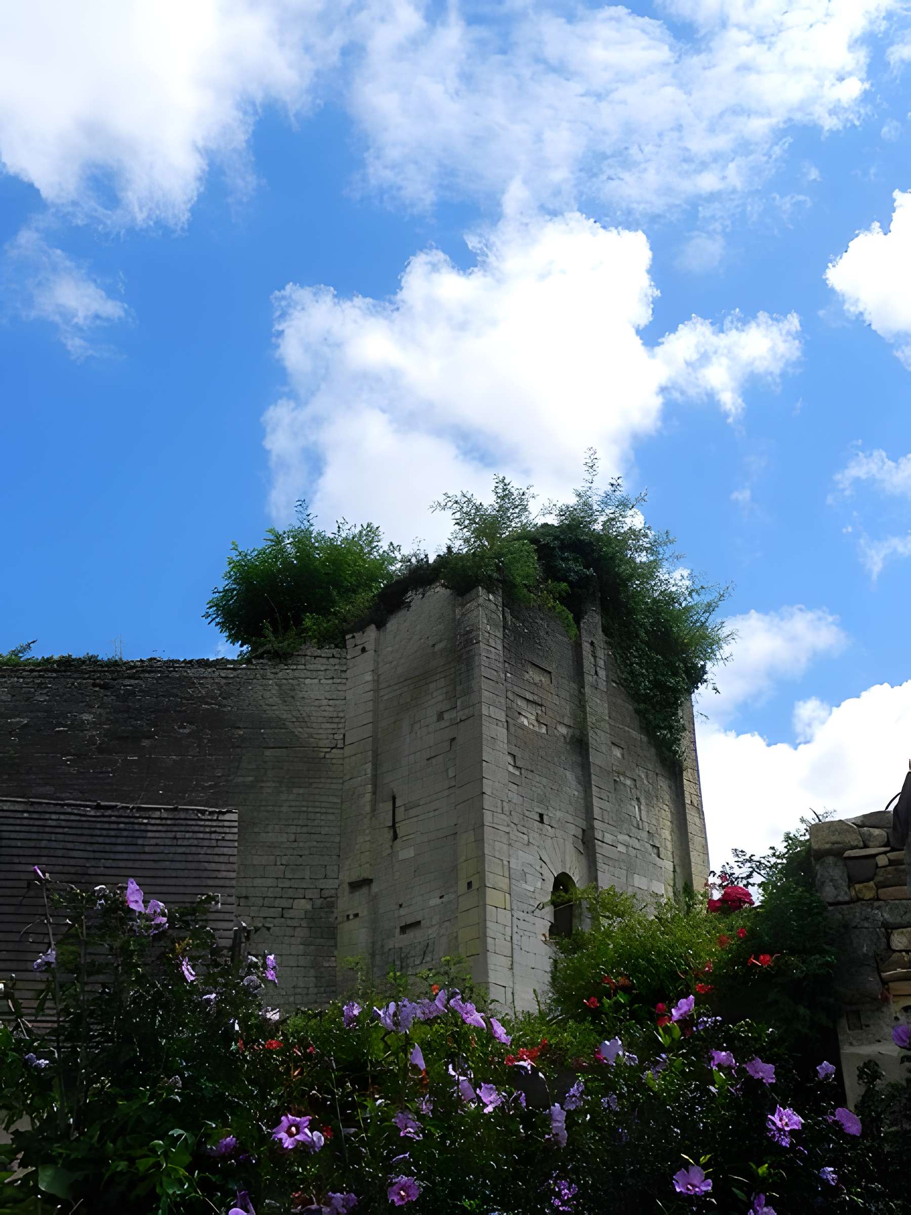 Château de Salignac