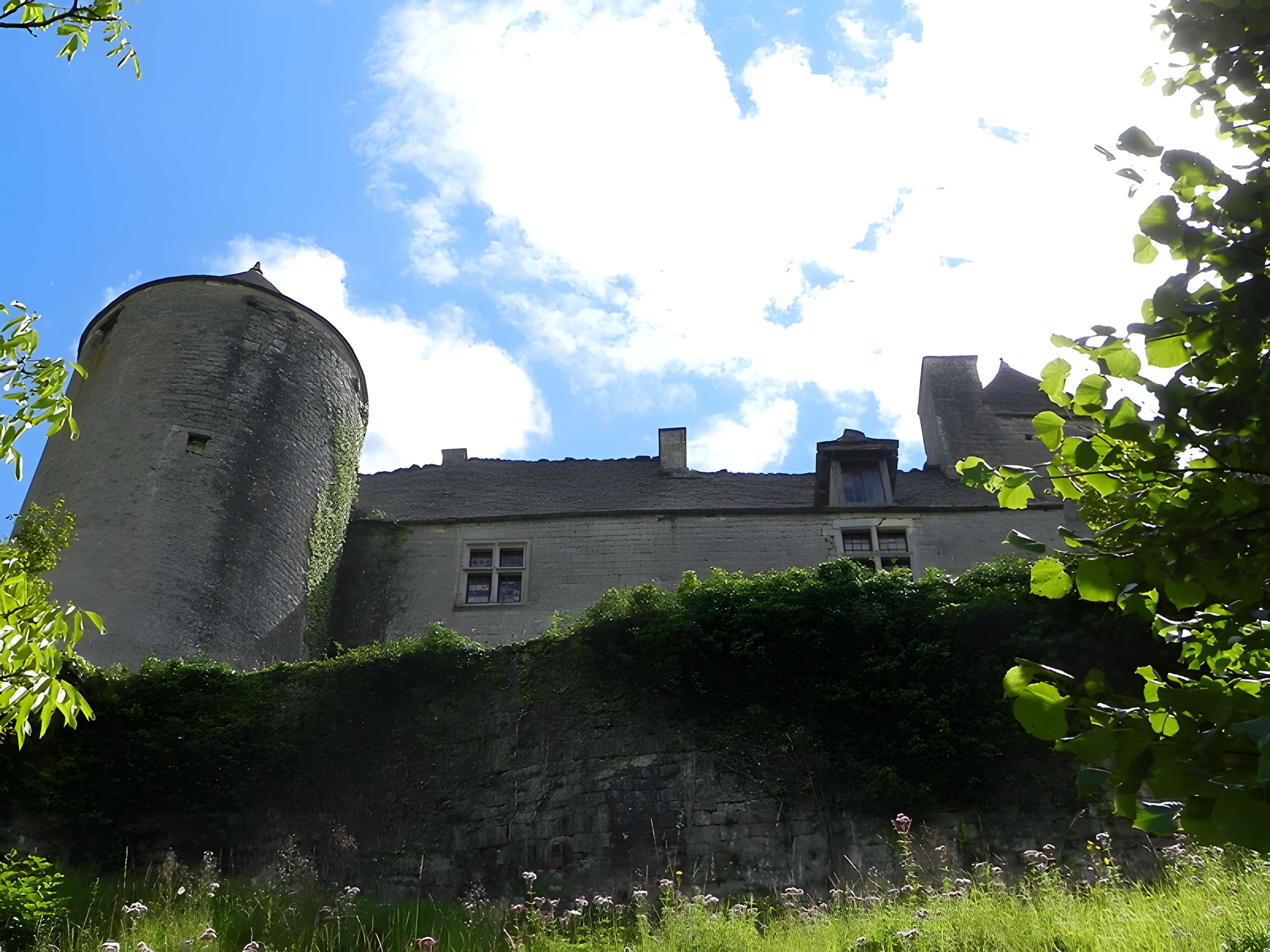 Château de Salignac