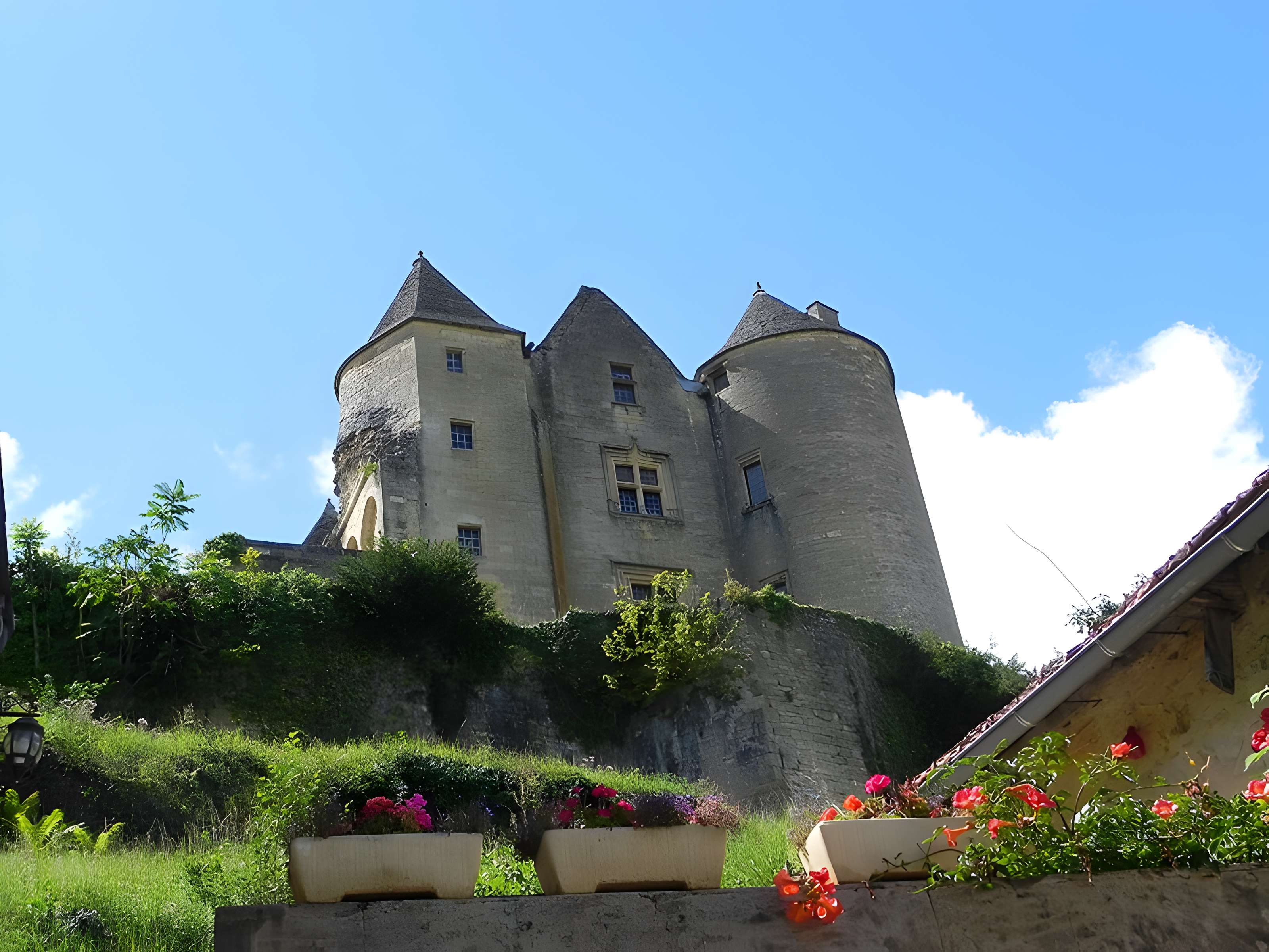 Château de Salignac