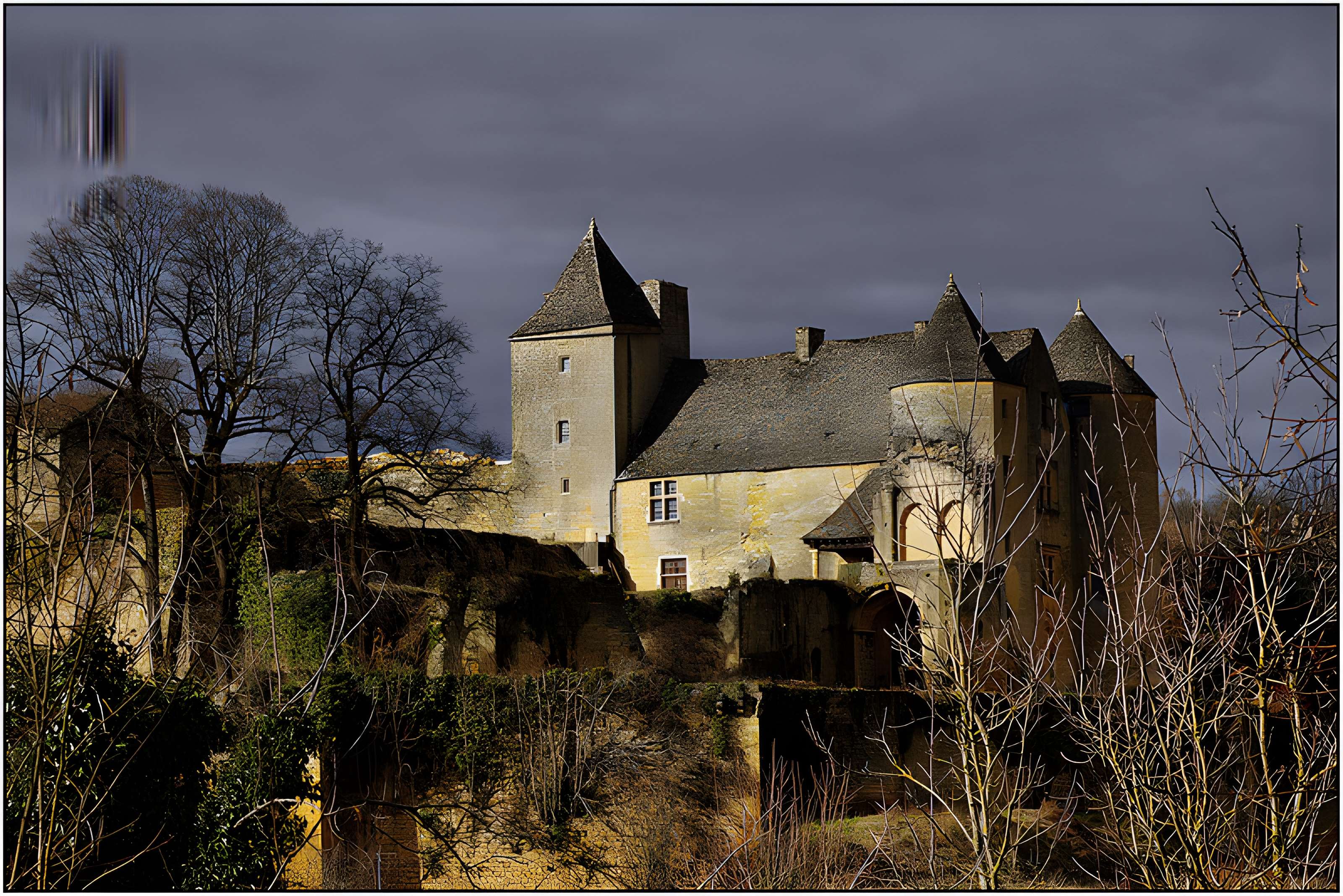 Château de Salignac