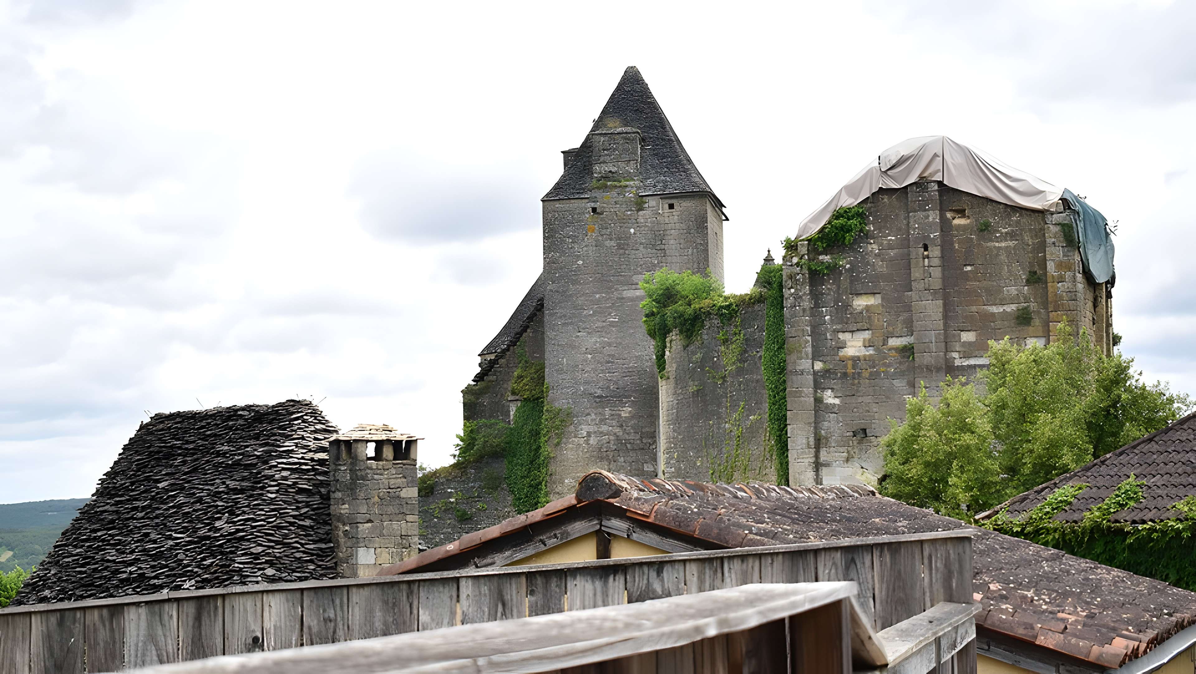 Château de Salignac