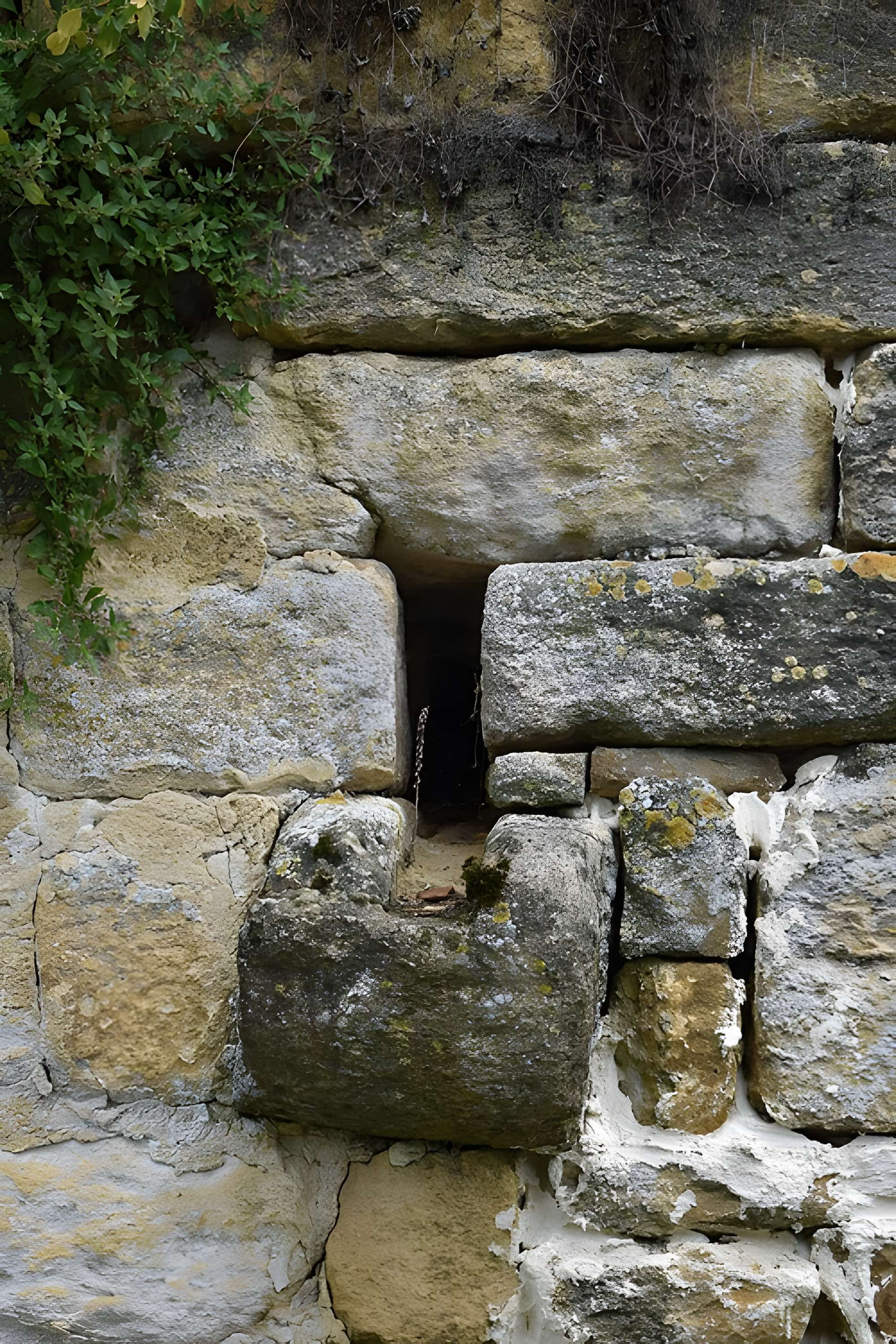 Château de Salignac