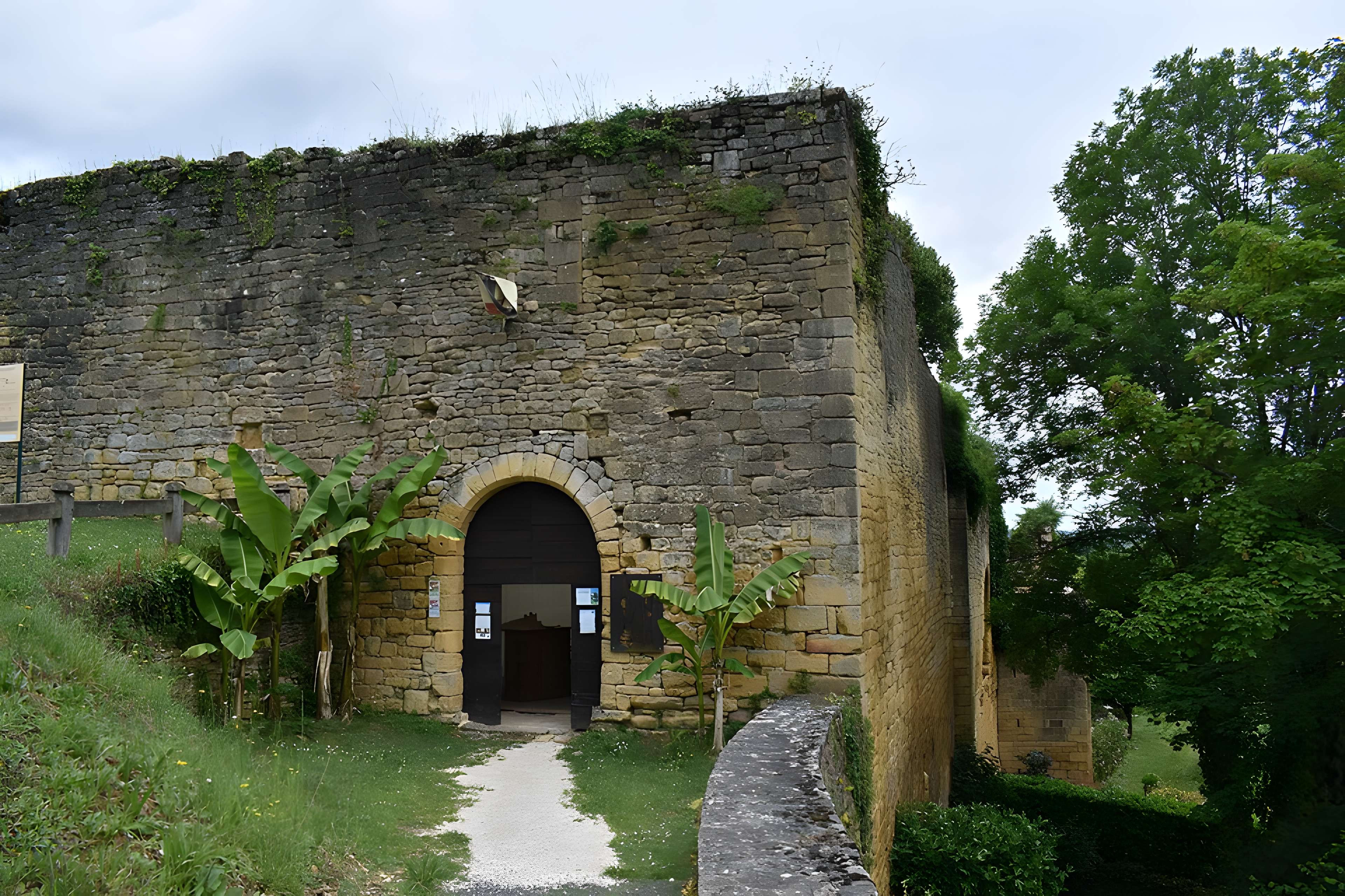 Château de Salignac