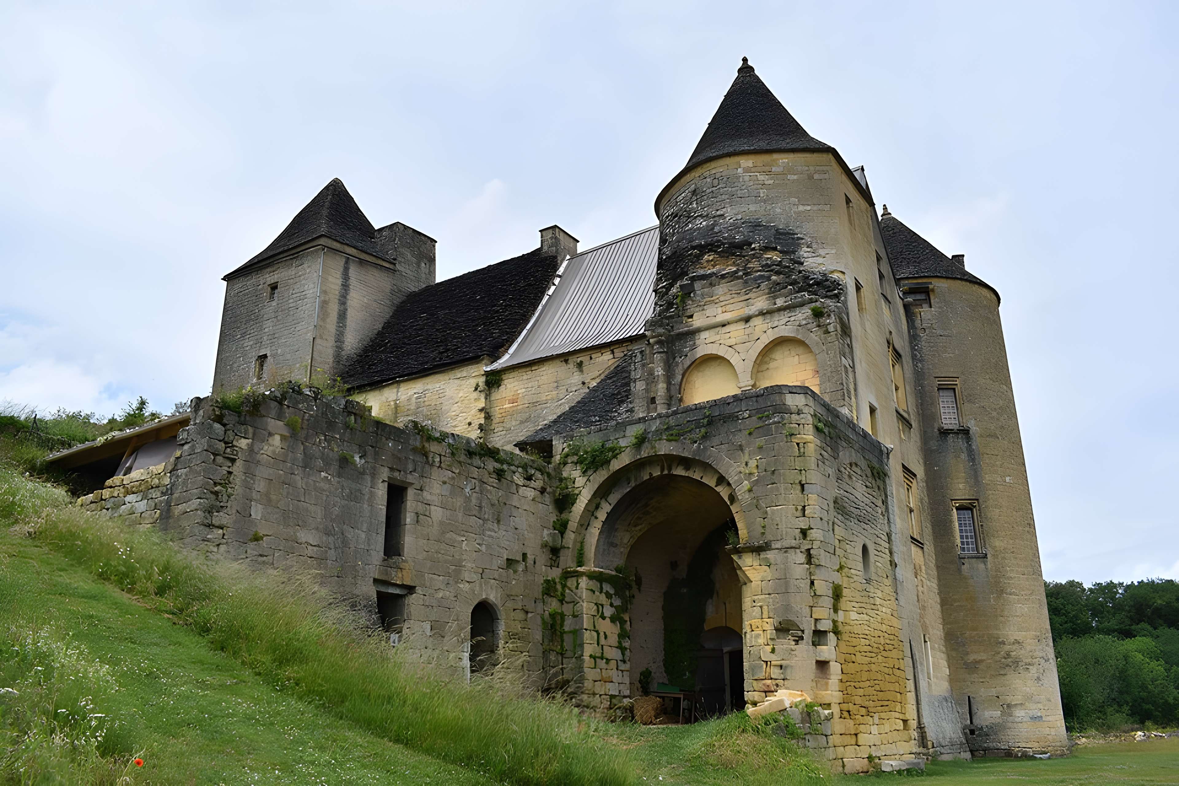 Château de Salignac