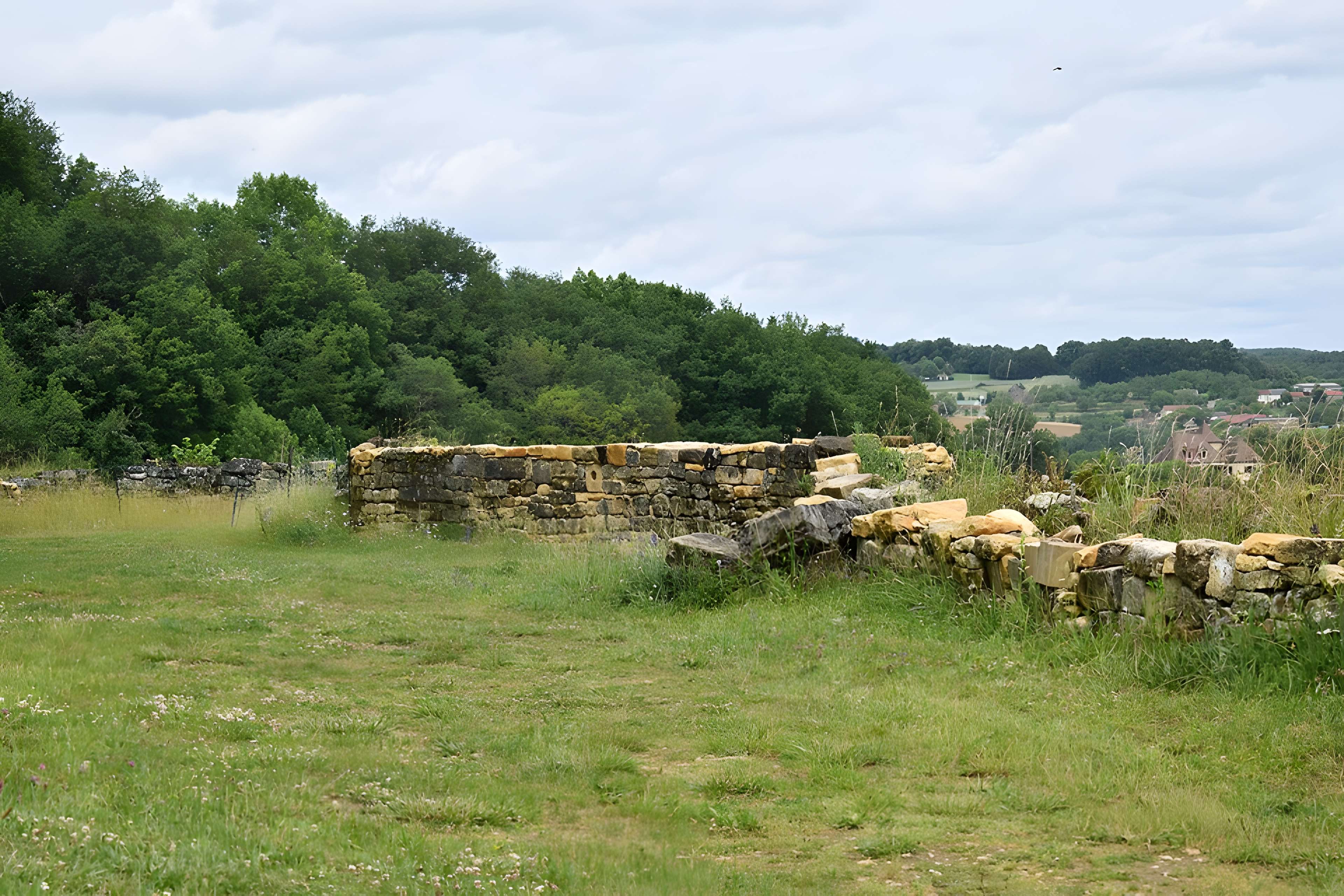 Château de Salignac