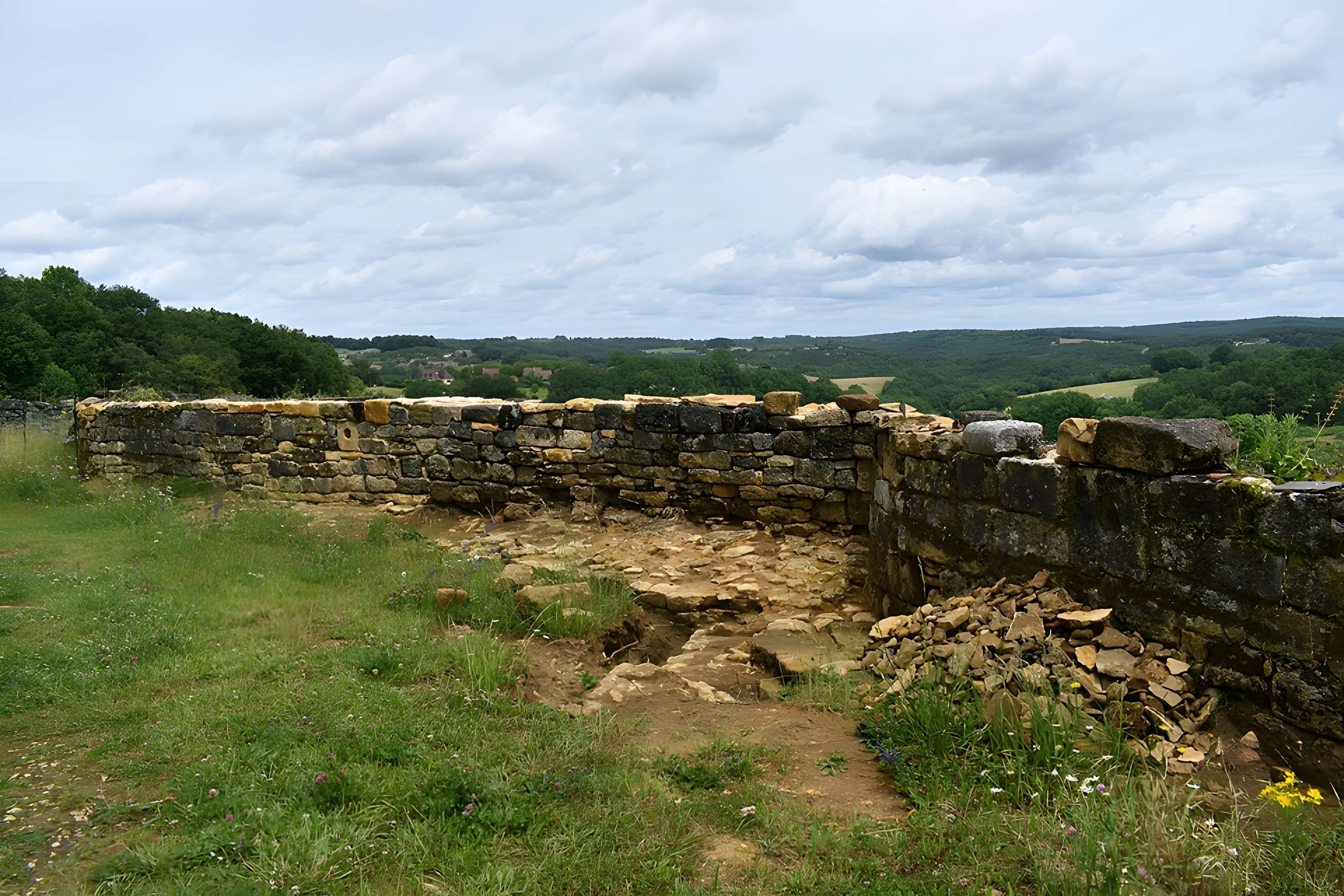 Château de Salignac