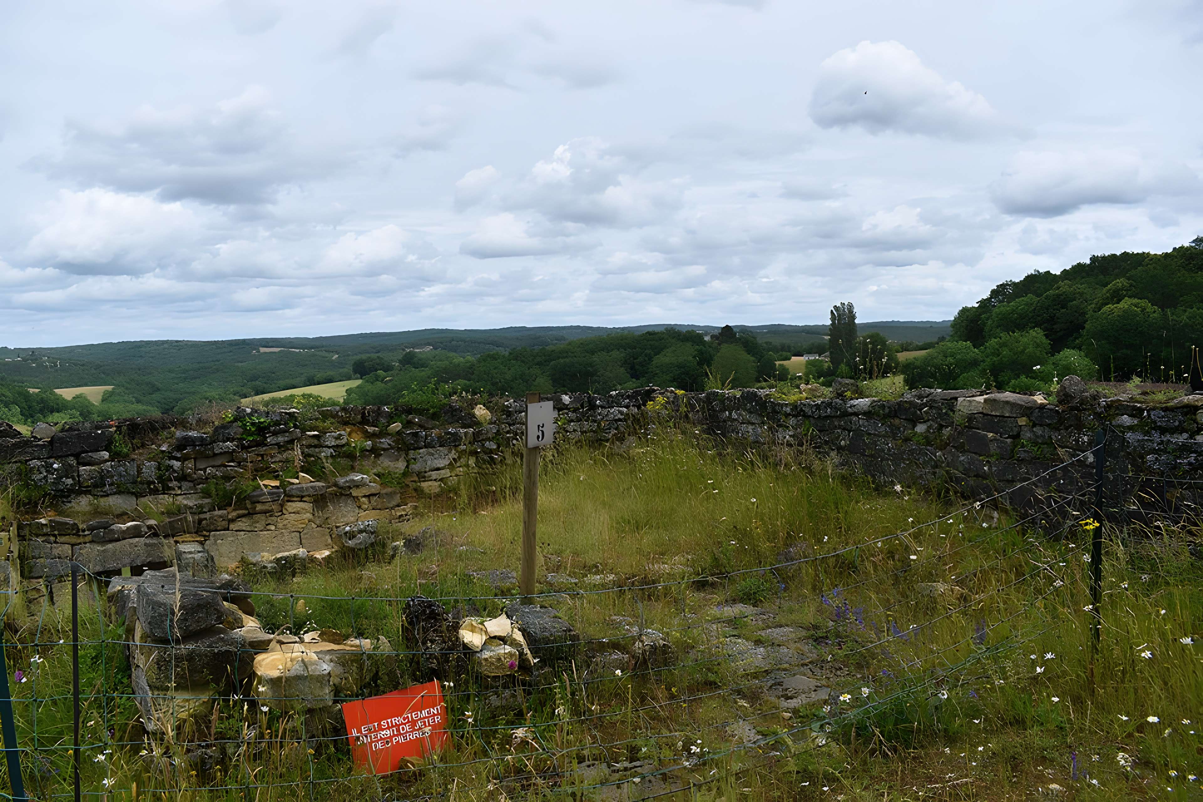 Château de Salignac