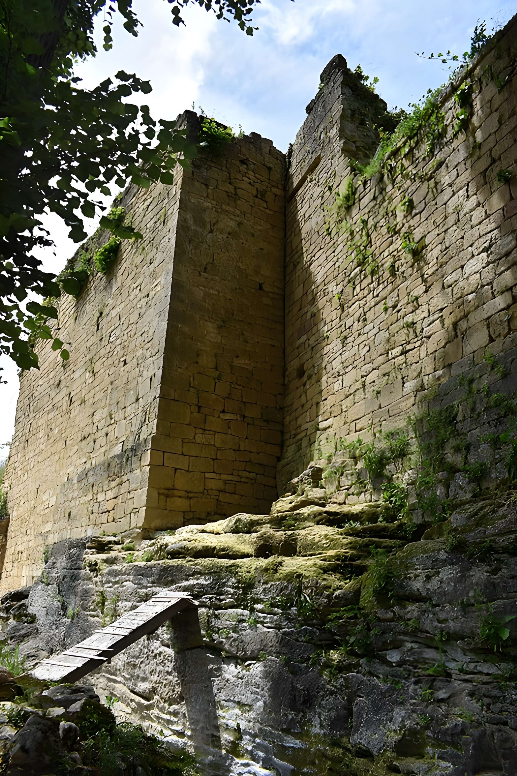Château de Salignac