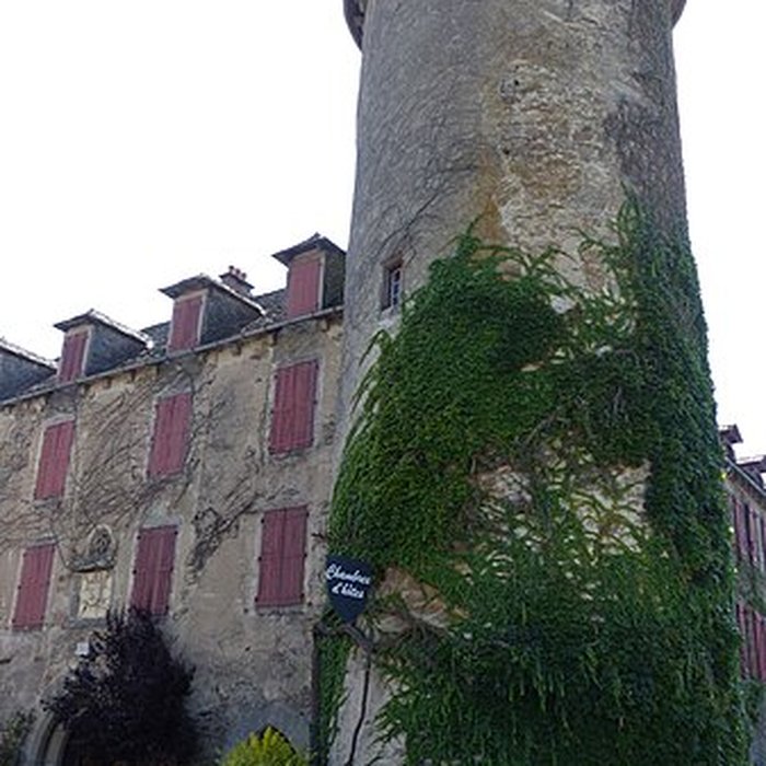 Photo de Château de Salles-Curan