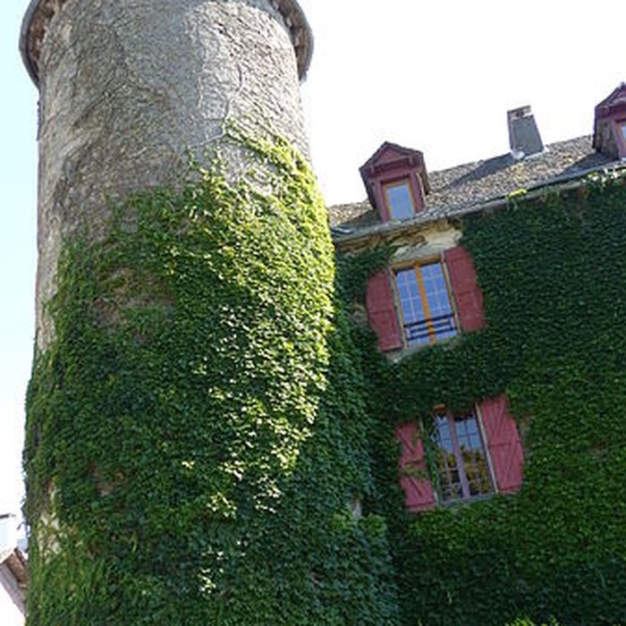 Photo de Château de Salles-Curan