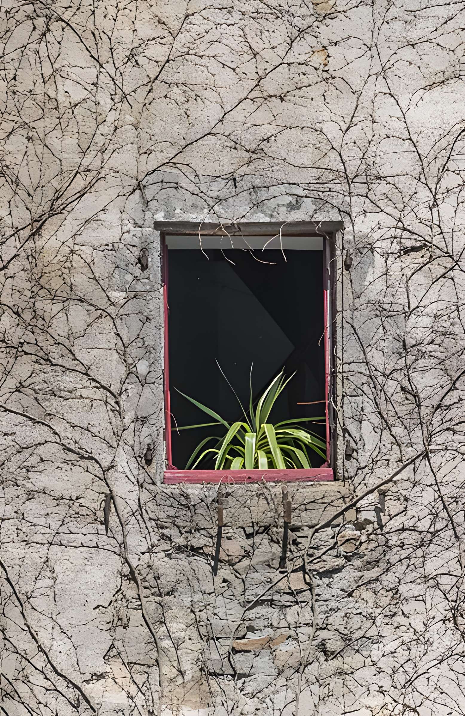 Château de Salles-Curan