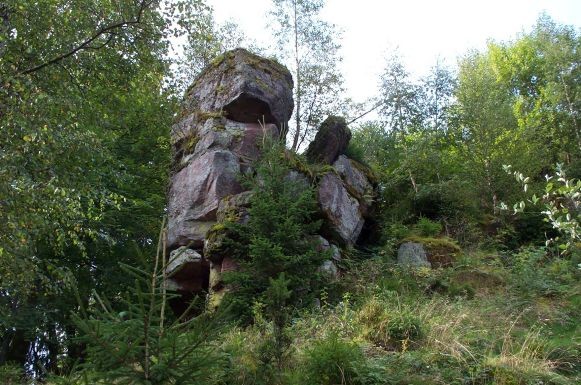 Photo de Château de Salm