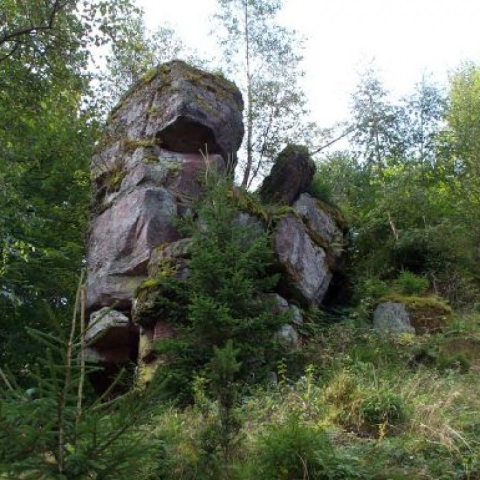 Photo de Ruines du château Salm
