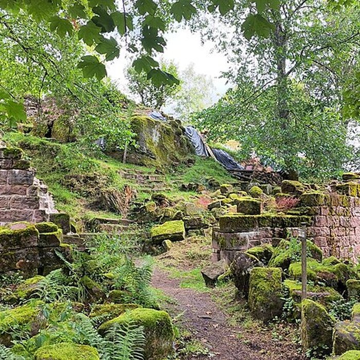 Photo de Ruines du château Salm