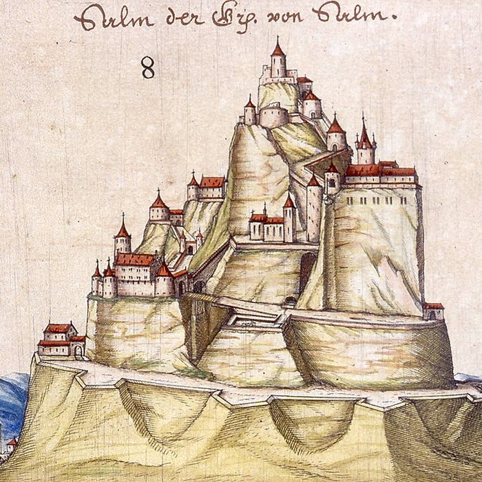 Photo de Ruines du château Salm