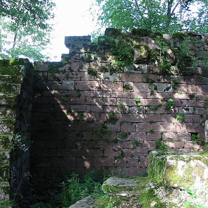 Photo de Ruines du château Salm