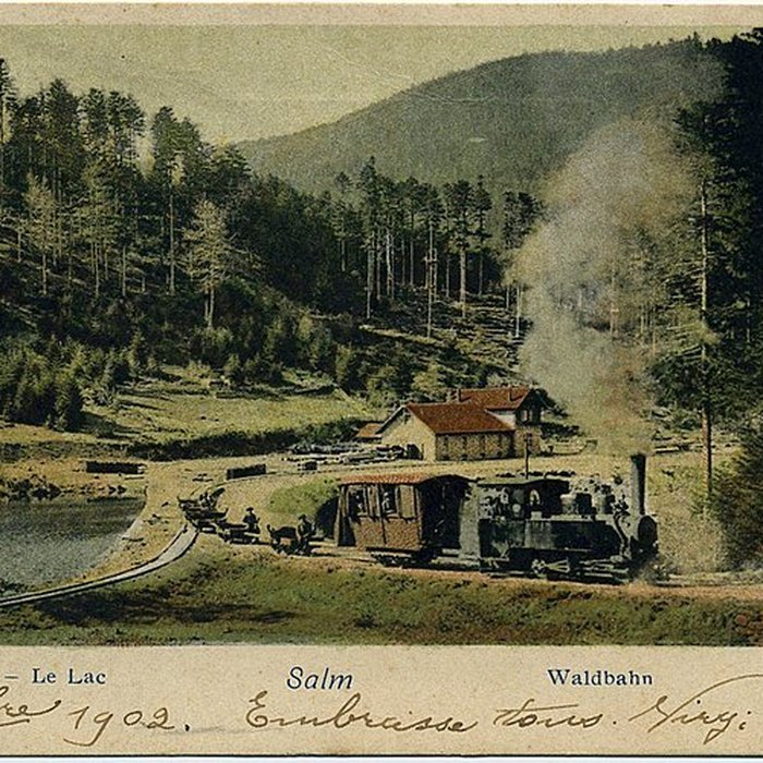 Photo de Ruines du château Salm