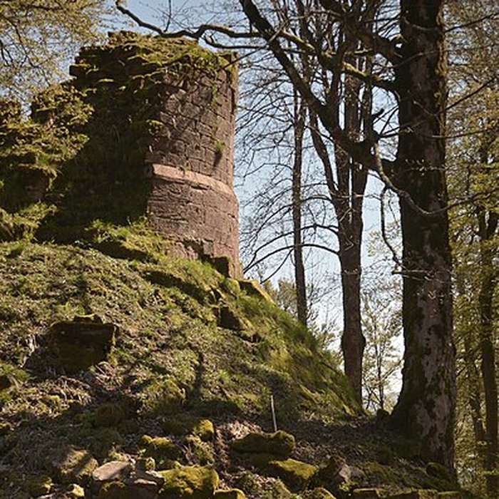 Photo de Ruines du château Salm