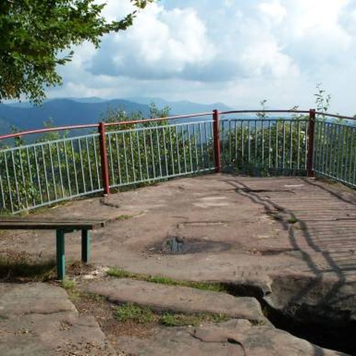 Photo de Ruines du château Salm