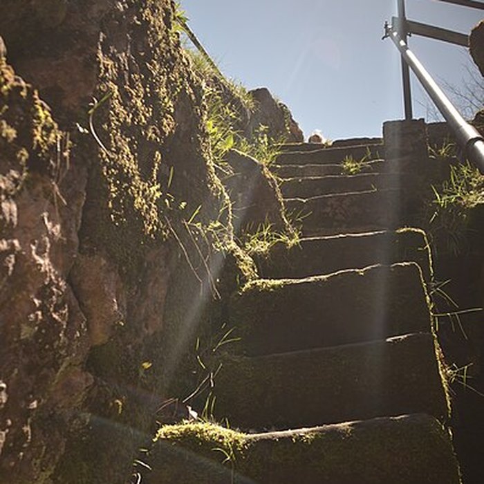 Photo de Ruines du château Salm