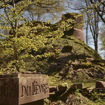 Ruines du château Salm
