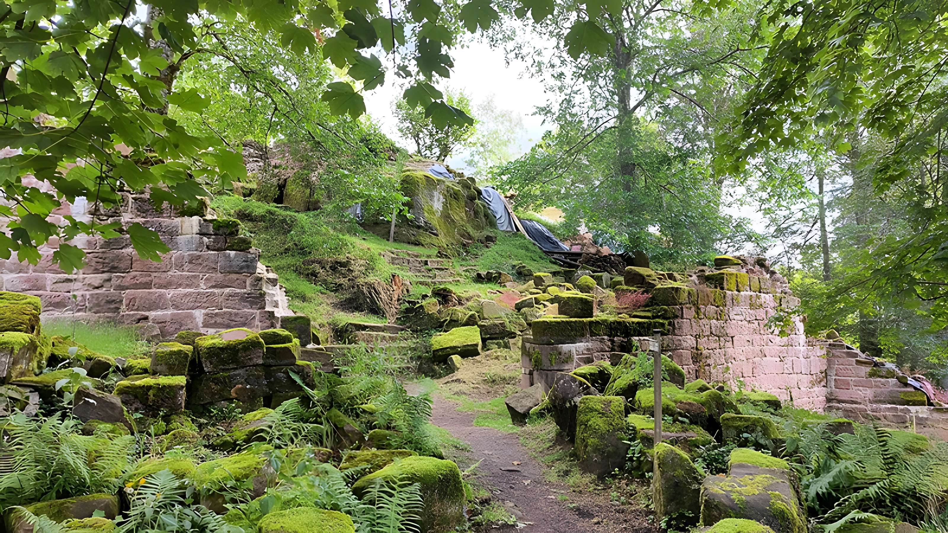 Ruines du château Salm