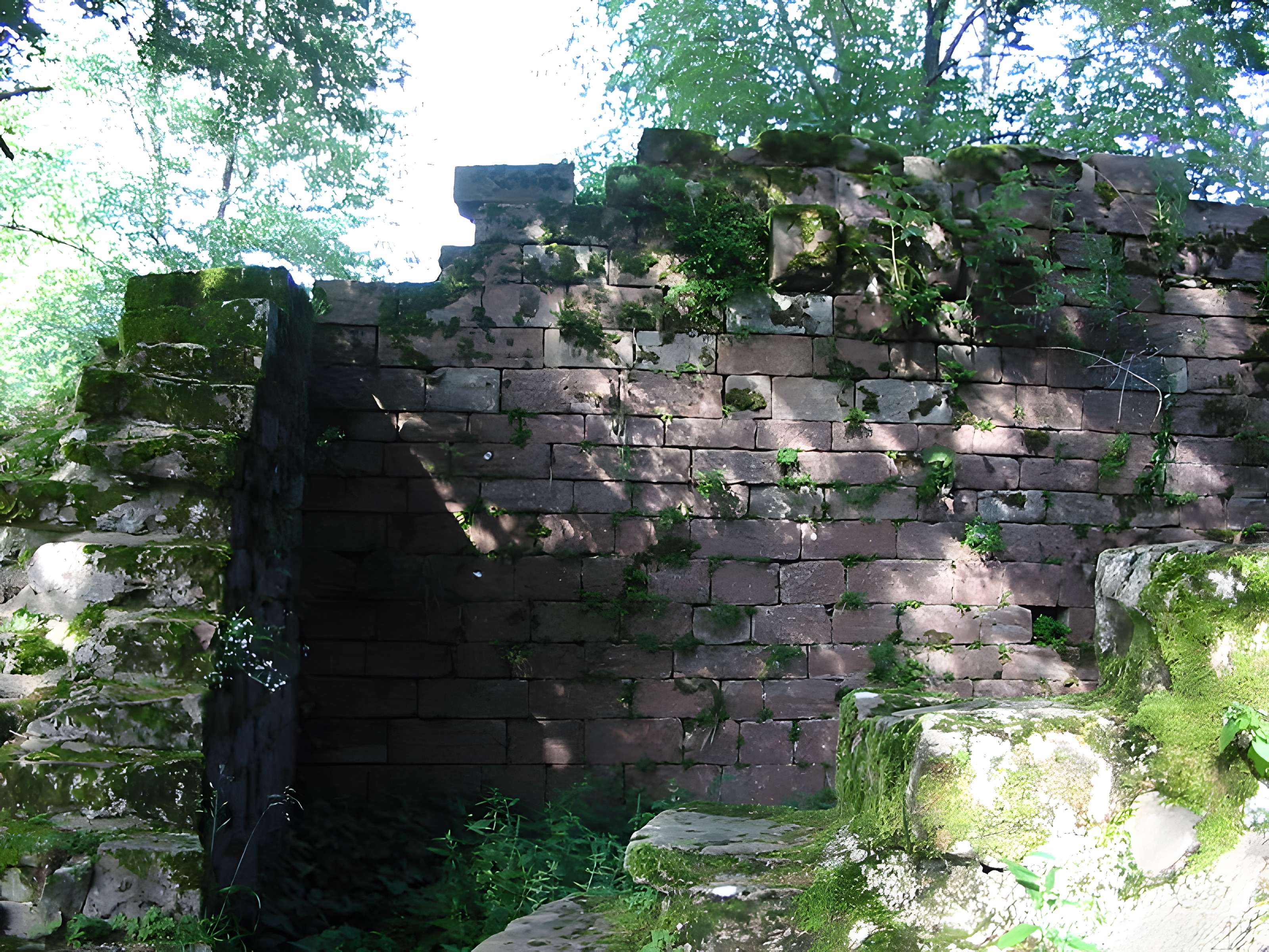 Ruines du château Salm