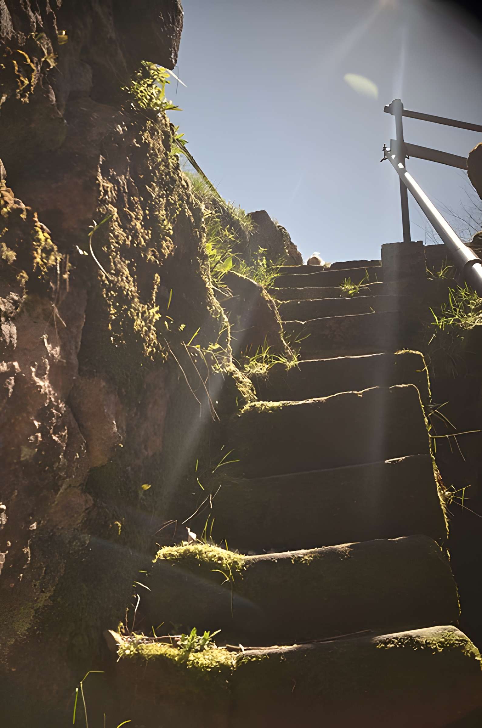 Ruines du château Salm