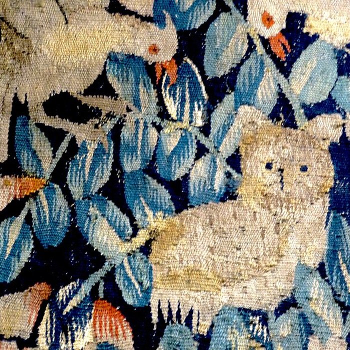 Photo de Château de Langeais