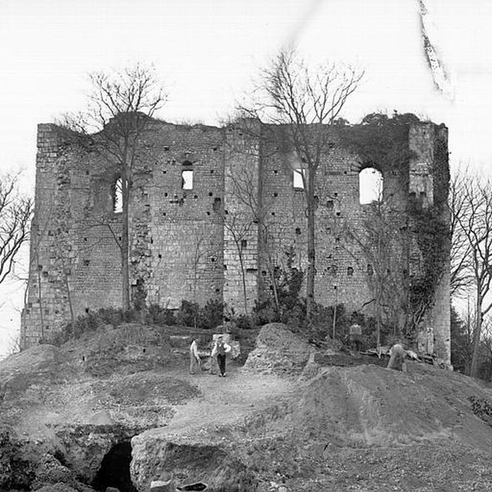 Photo de Château de Langeais