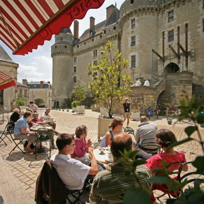 Photo de Château de Langeais