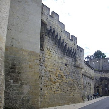 Château de Langeais