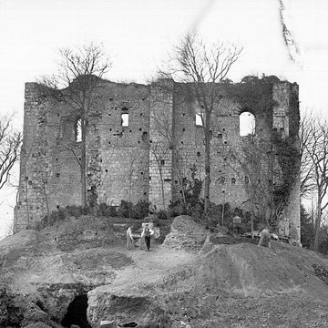 Château de Langeais