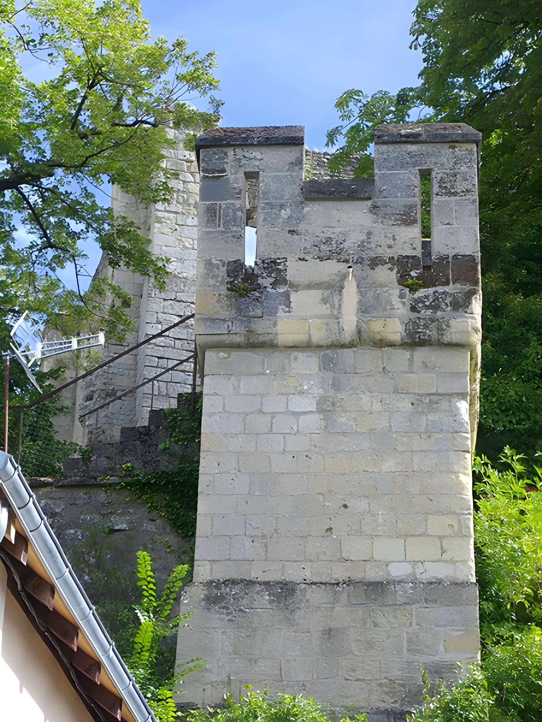 Château de Langeais