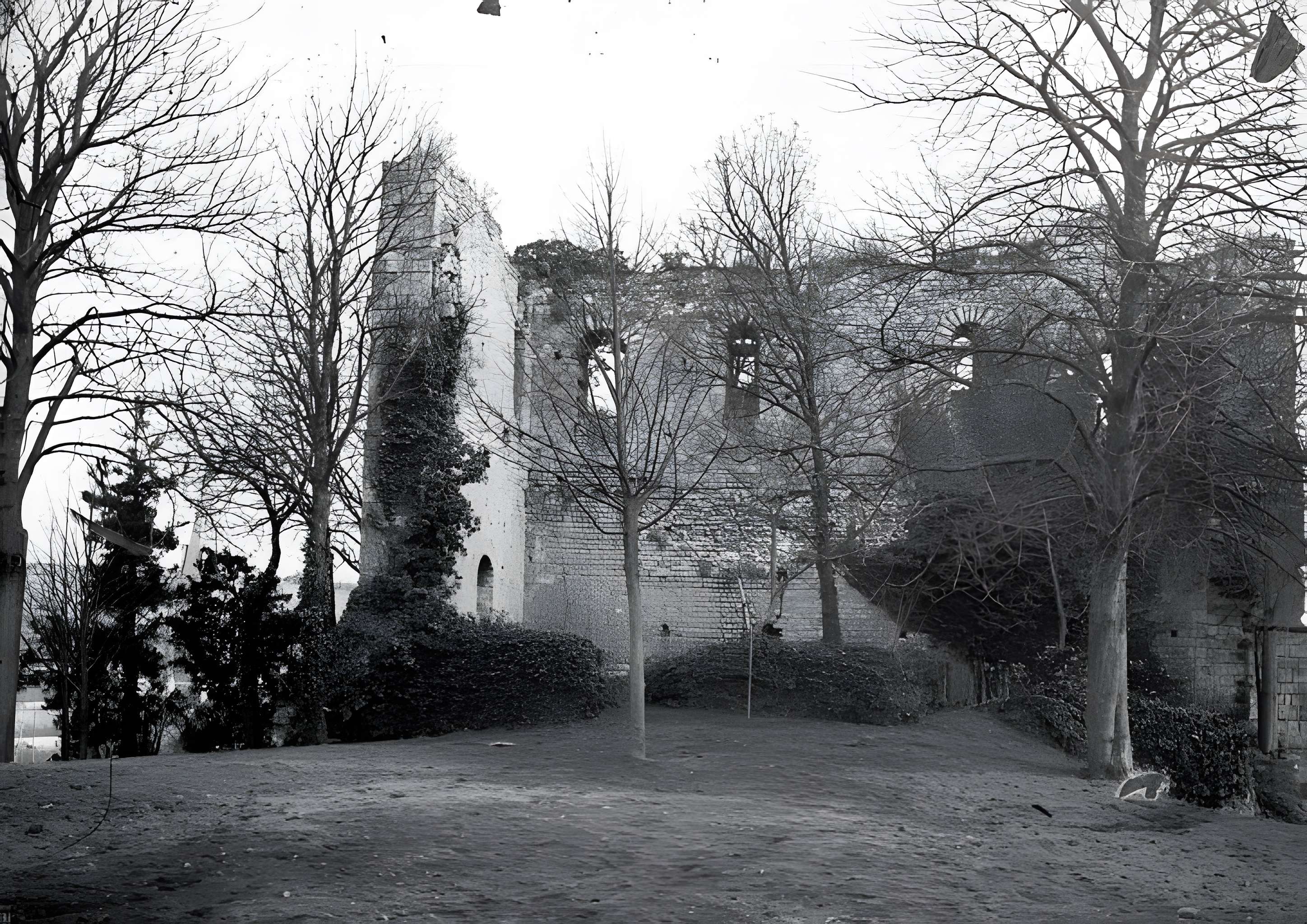 Château de Langeais