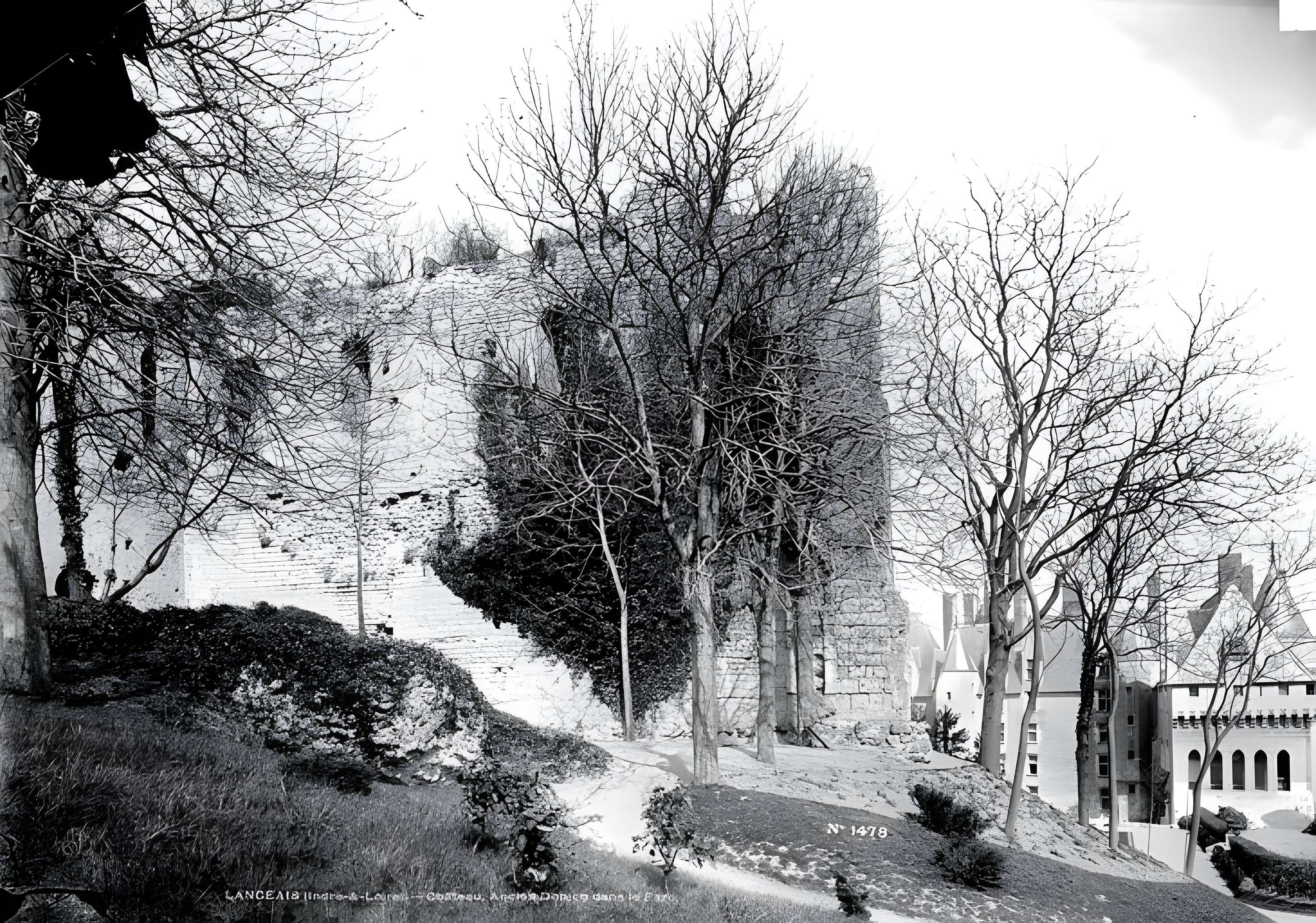 Château de Langeais