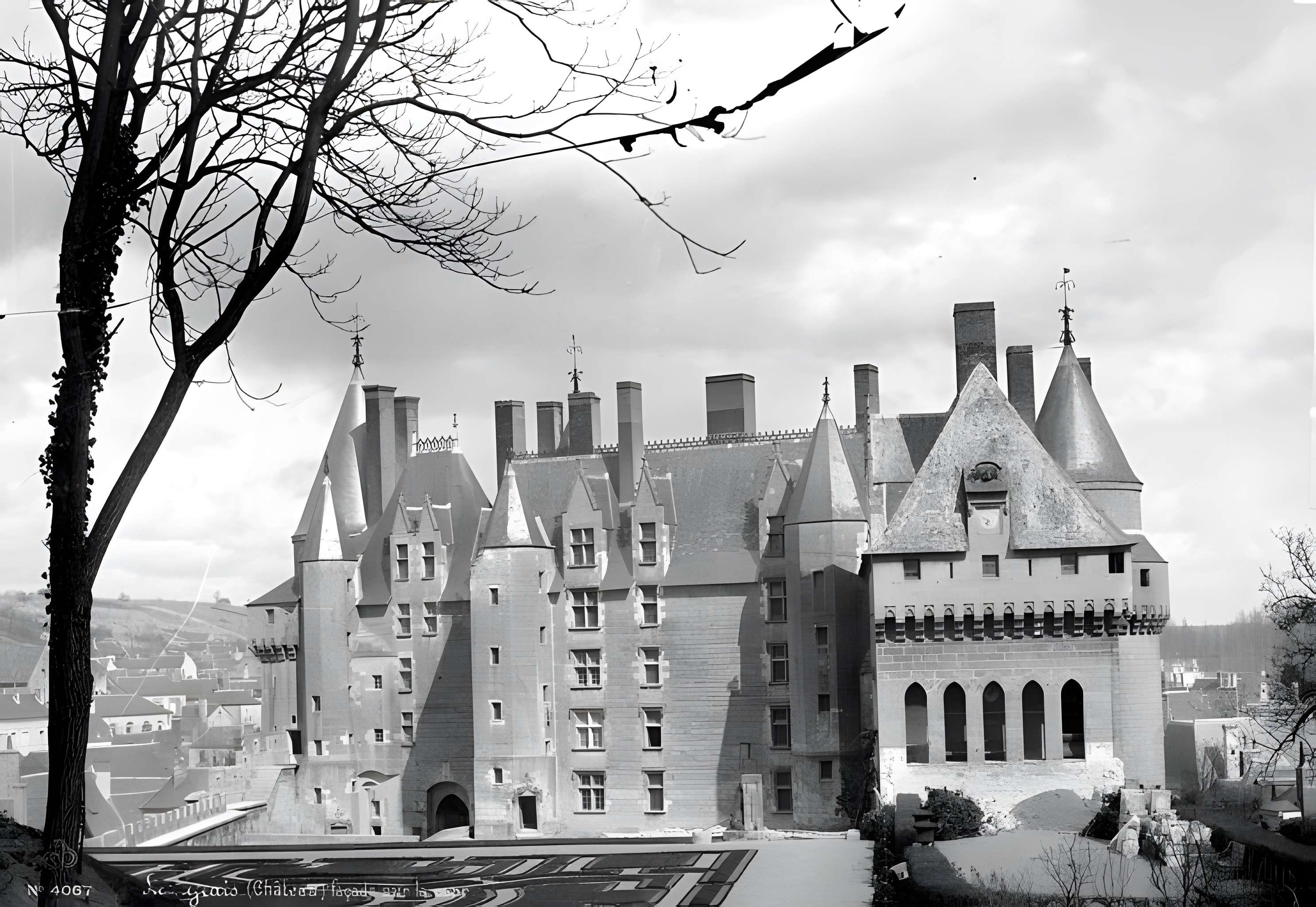 Château de Langeais