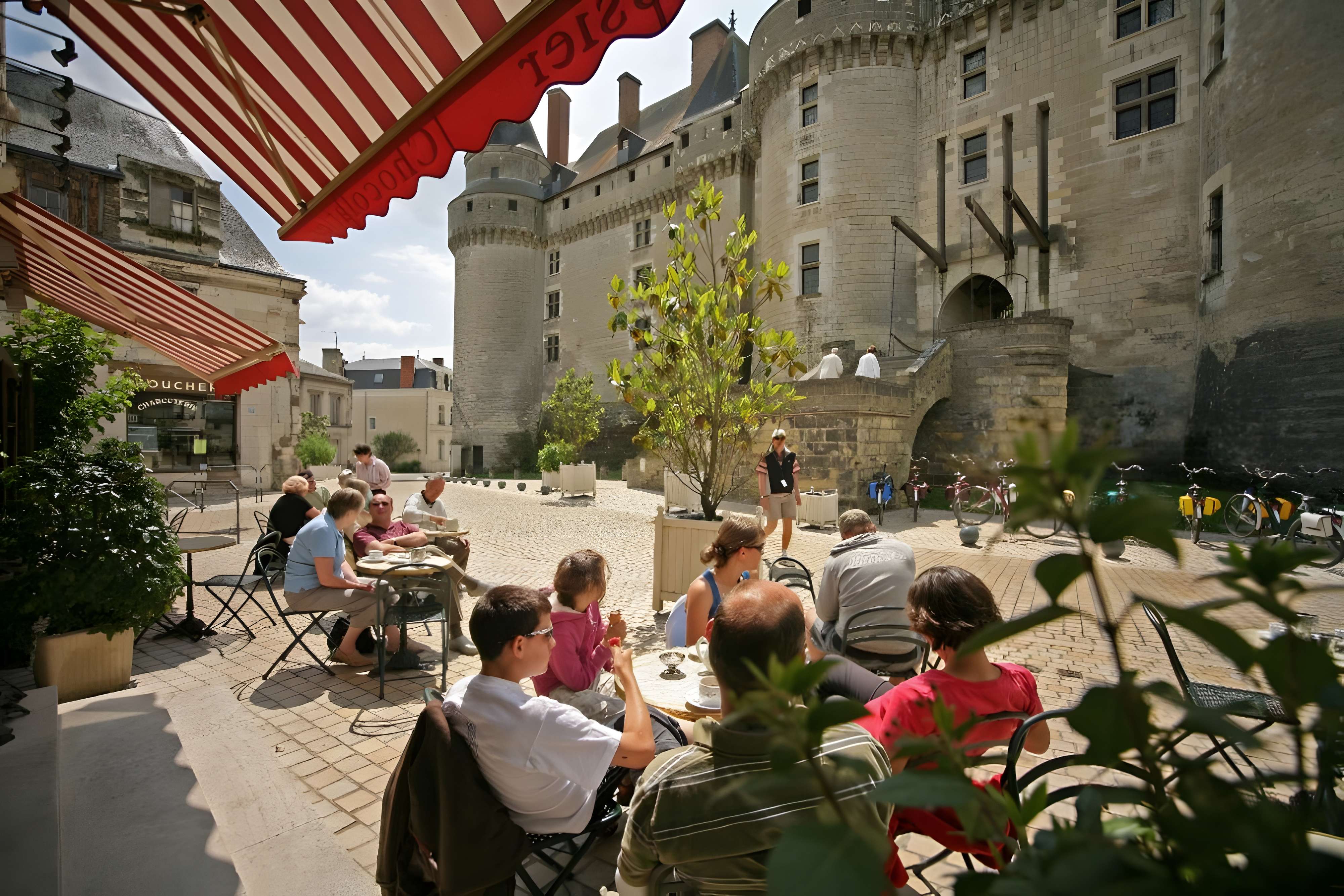 Château de Langeais 