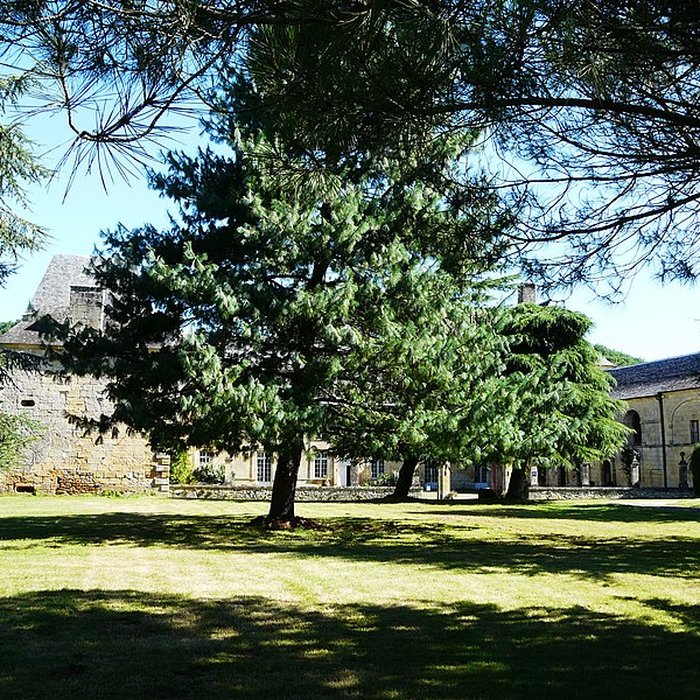 Photo de Château de Sauveboeuf