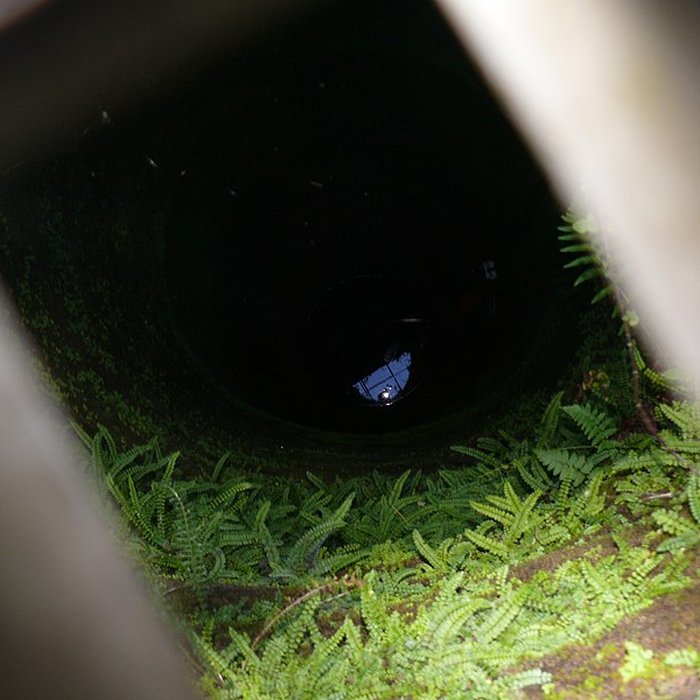 Photo de Ruines du château de Schoeneck