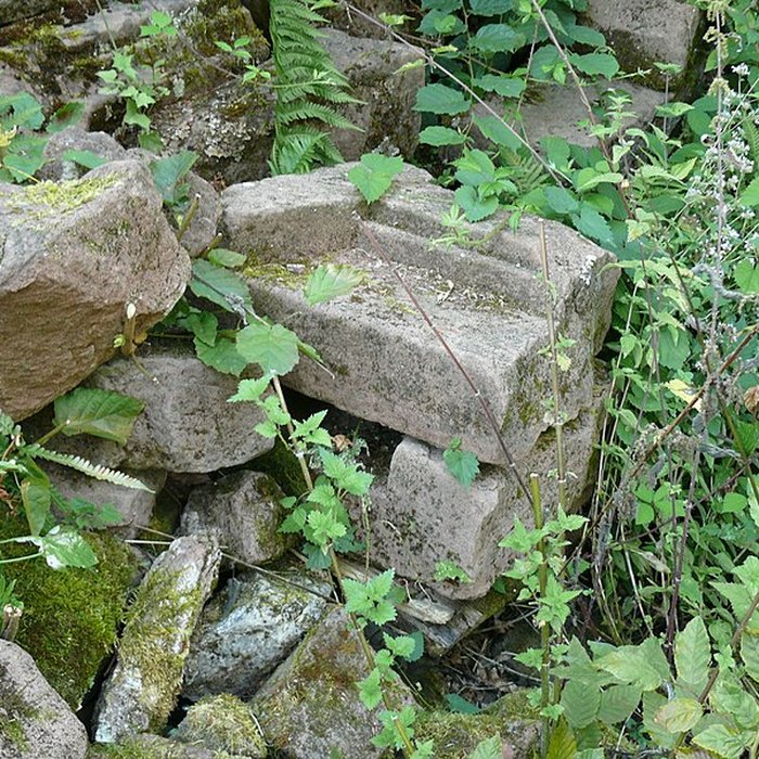Photo de Ruines du château de Schoeneck
