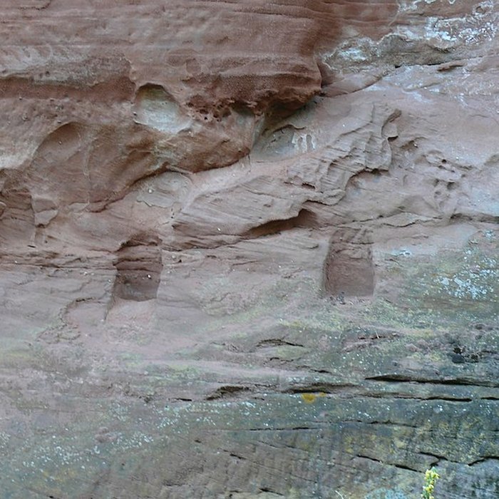 Photo de Ruines du château de Schoeneck