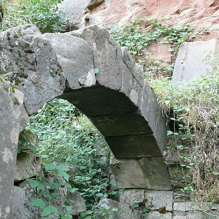 Photo de Ruines du château de Schoeneck