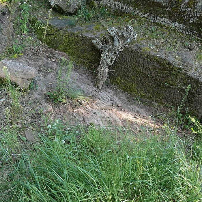 Photo de Ruines du château de Schoeneck