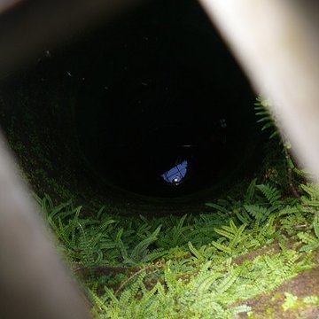 Ruines du château de Schoeneck